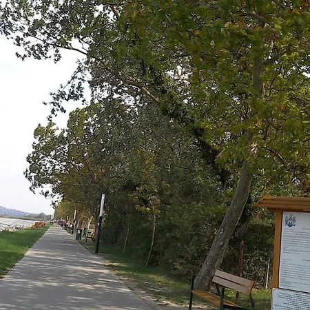 Апартаменты Balatonpart-lak